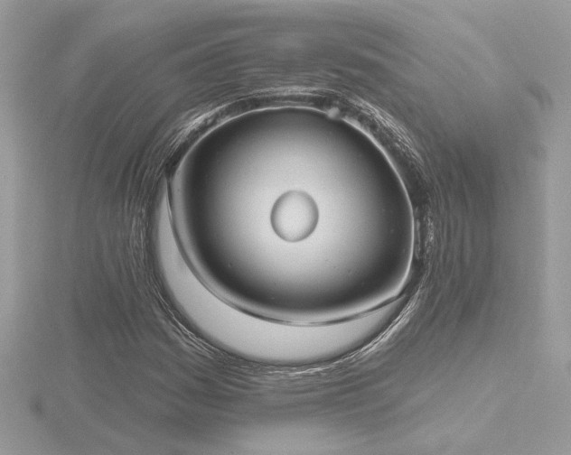 X0000116571161200912101504