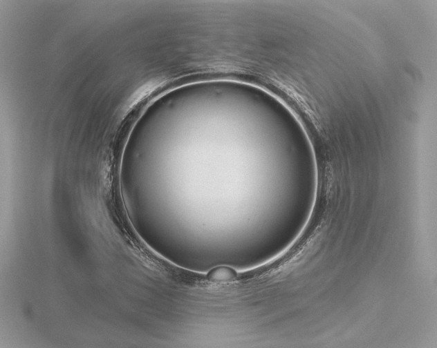 X0000116571163200912101504