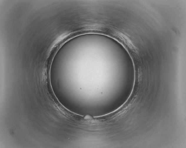 X0000116571164200912101504