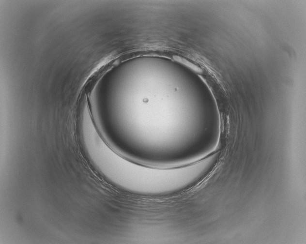 X0000116571165200912101504