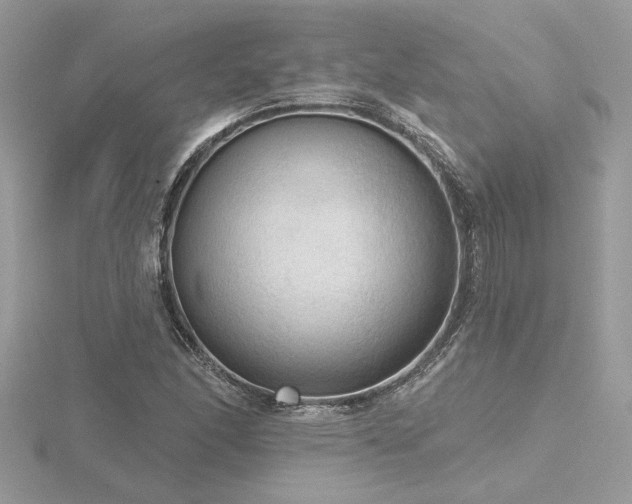 X0000116571166200912101504