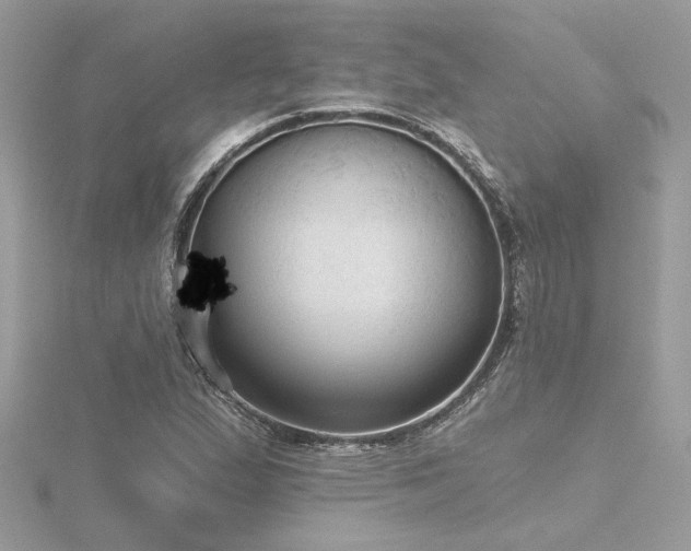 X0000116571167200912101504