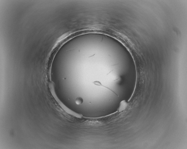 X0000116571168200912101504