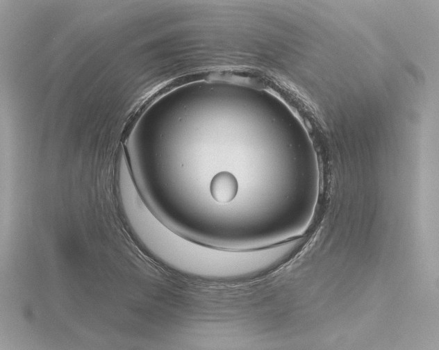 X0000116571169200912101504