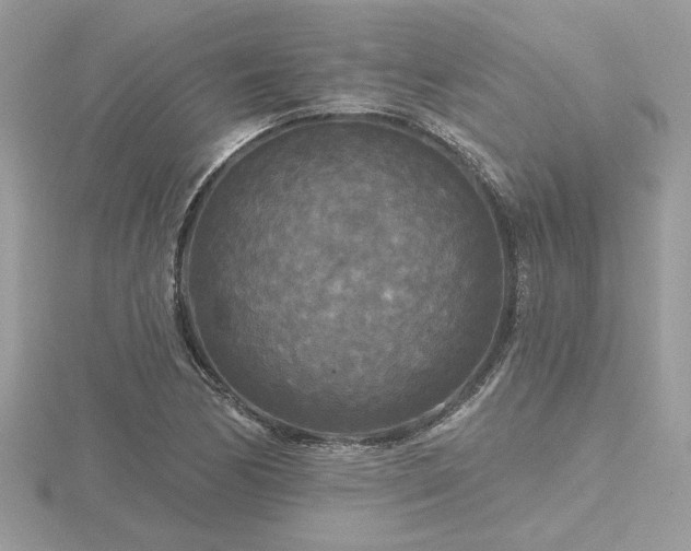 X0000116571170200912101504