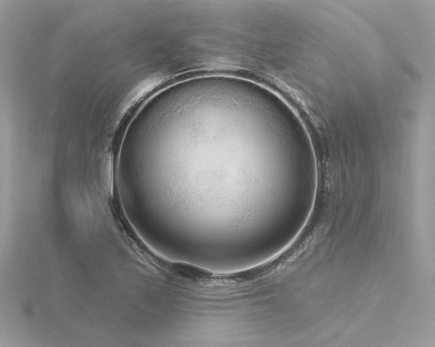 X0000116571171200912101504