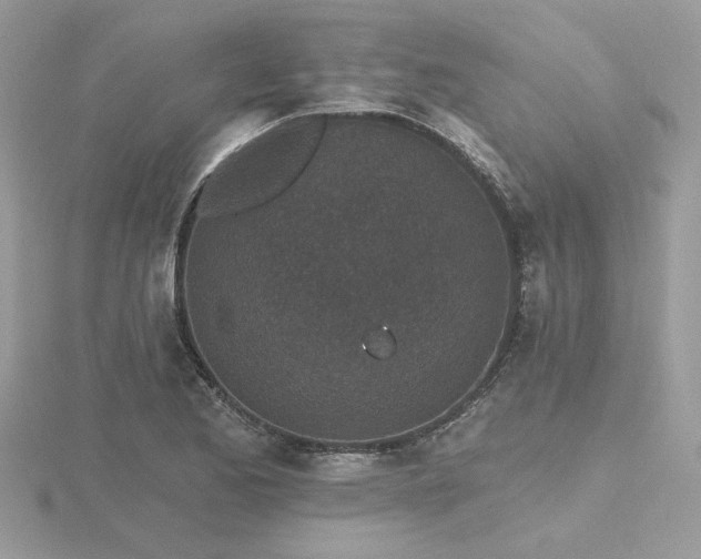 X0000116571173200912101504