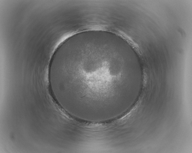 X0000116571174200912101504