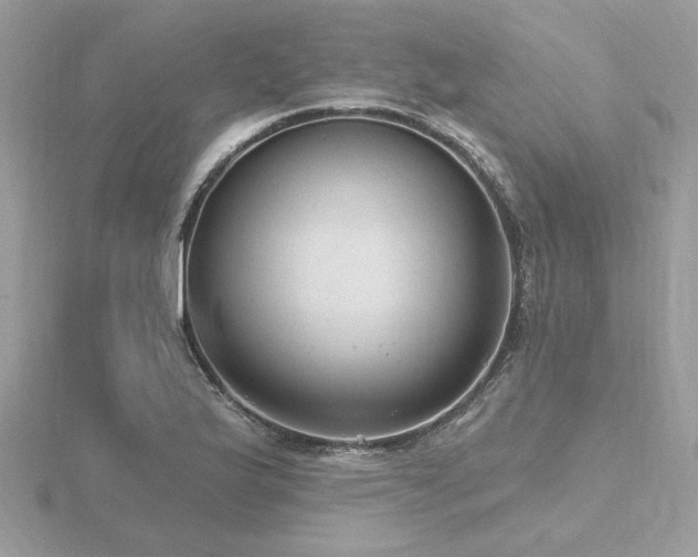 X0000116571175200912101504