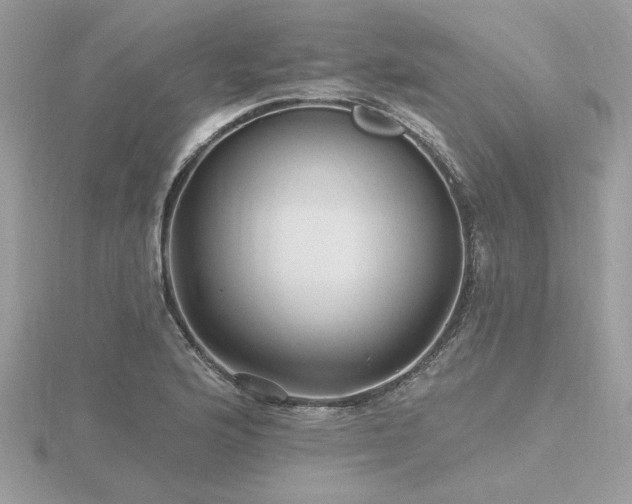 X0000116571176200912101504