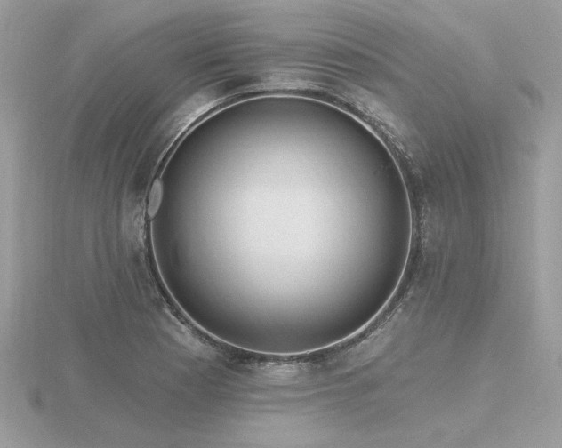 X0000116571177200912101504