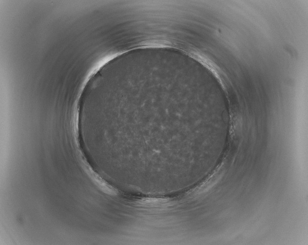 X0000116571179200912101504