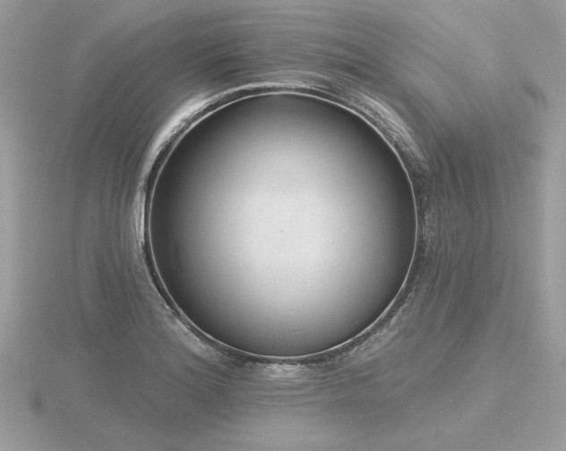 X0000116571180200912101504