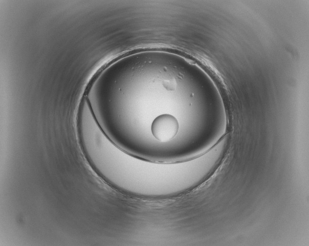 X0000116571181200912101504