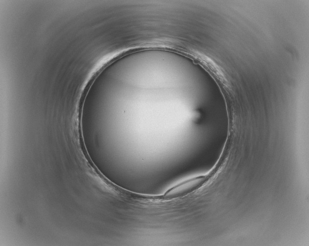 X0000116571184200912101504