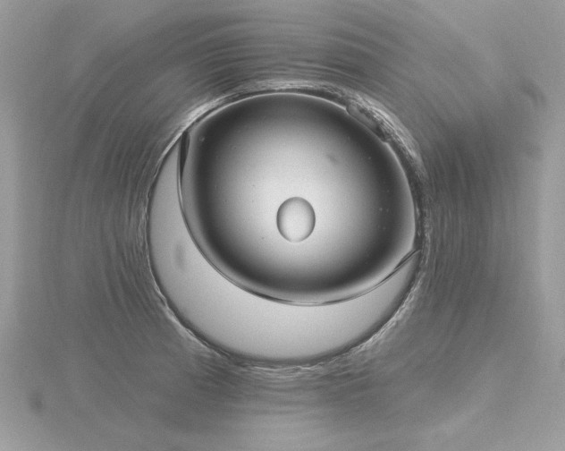 X0000116571185200912101504