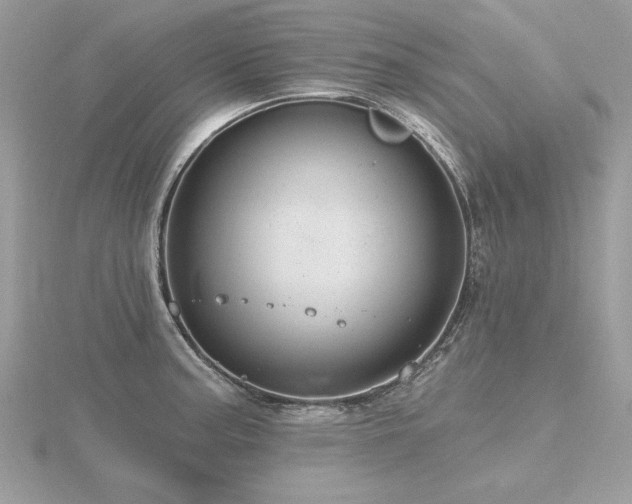 X0000116571187200912101504