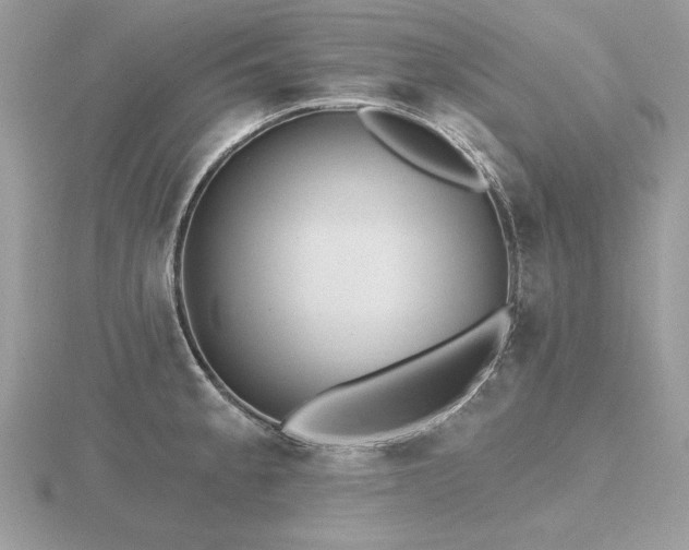 X0000116571189200912101504