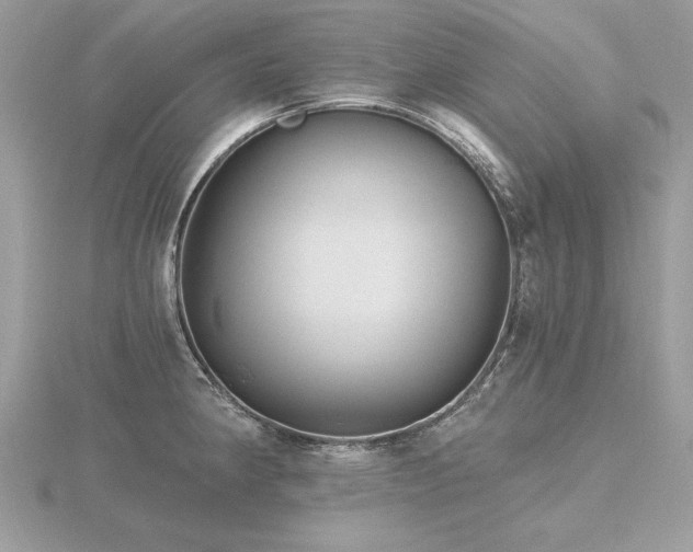 X0000116571190200912101504