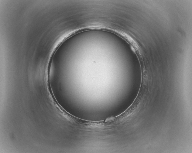 X0000116571191200912101504