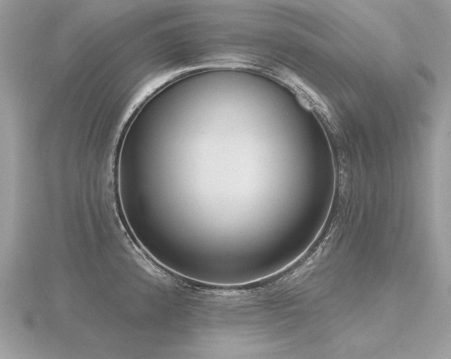 X0000116571192200912101504