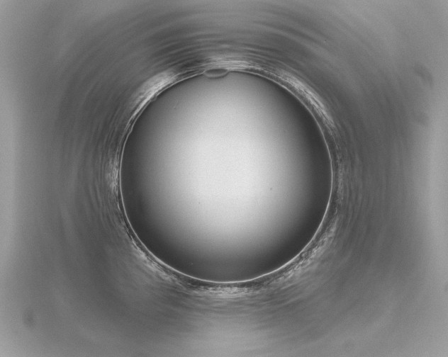 X0000116571193200912101504