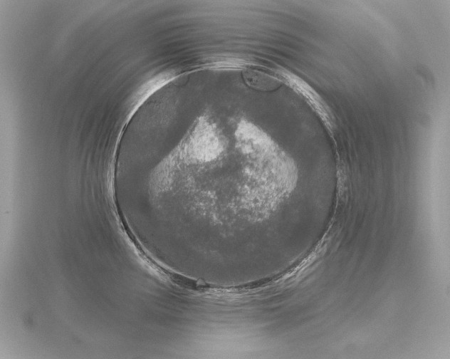 X0000116571194200912101504