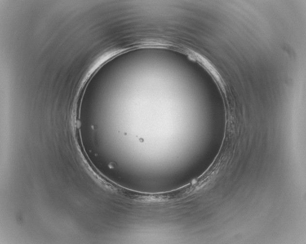 X0000116571195200912101504