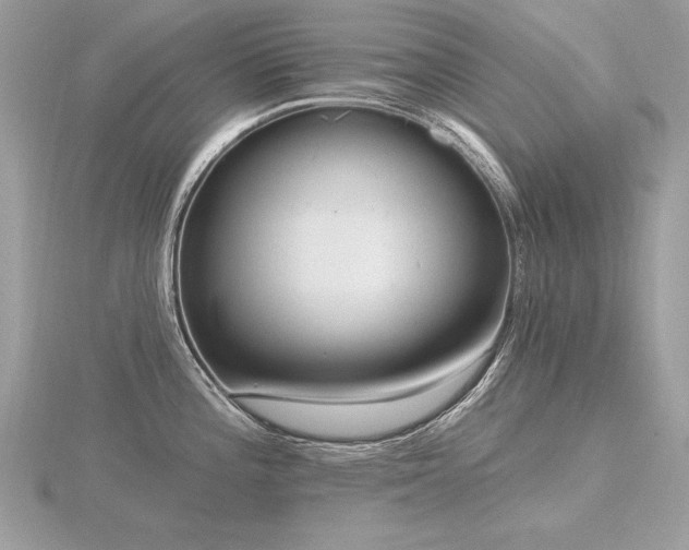 X0000116571196200912101504