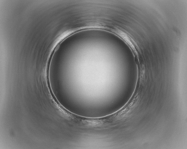 X0000116571197200912101504