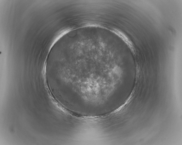 X0000116571198200912101504