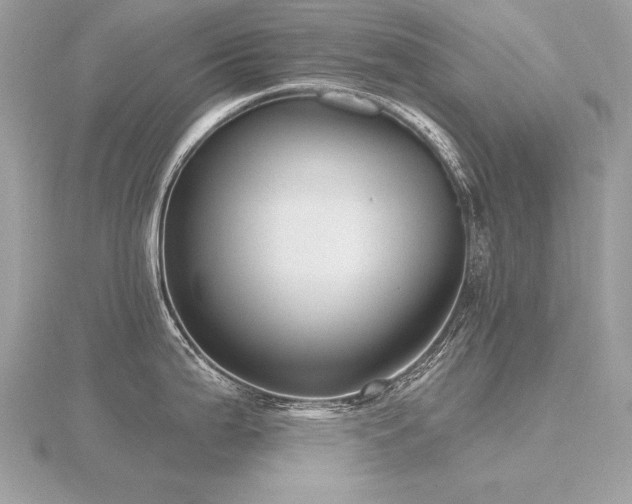 X0000116571199200912101504