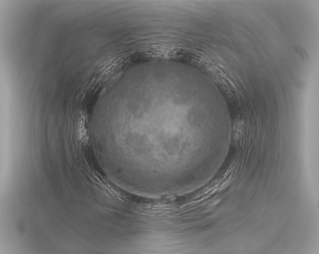 X0000116571202200912101503