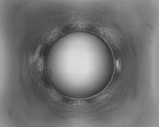 X0000116571203200912101503