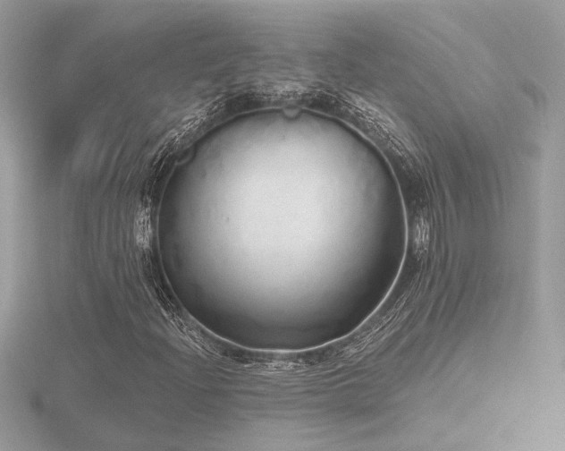 X0000116571204200912101503