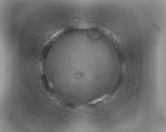 X0000116571205200912101503