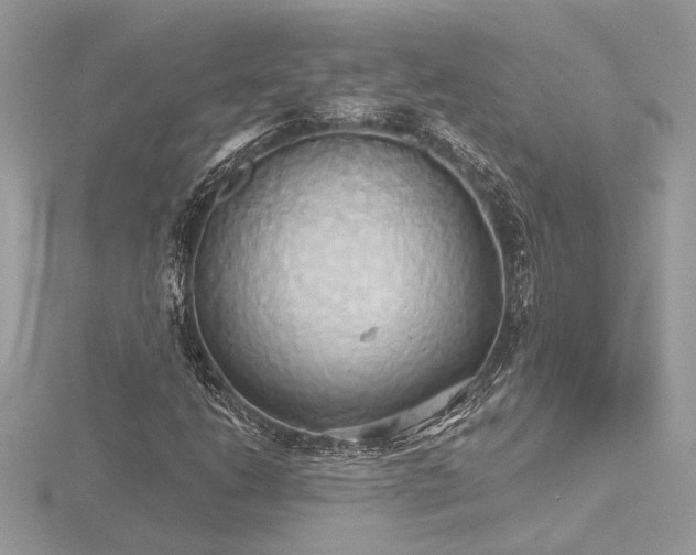 X0000116571206200912101503