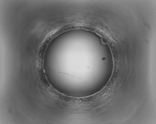 X0000116571207200912101503