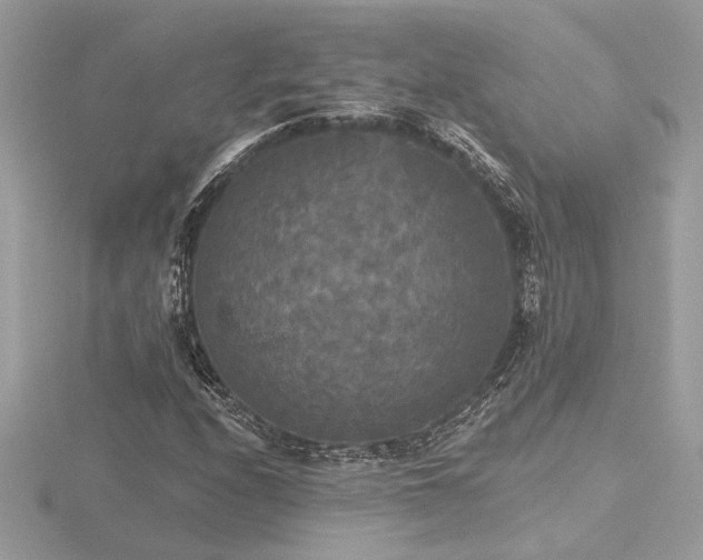 X0000116571208200912101503