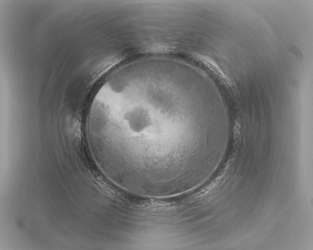 X0000116571209200912101503