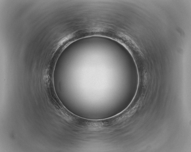 X0000116571210200912101503