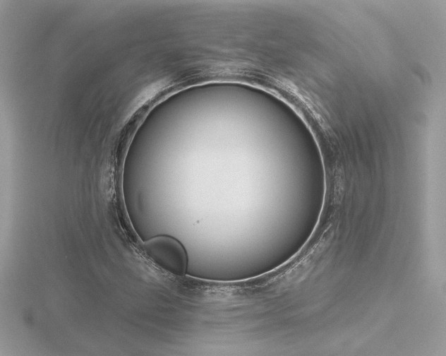 X0000116571211200912101503