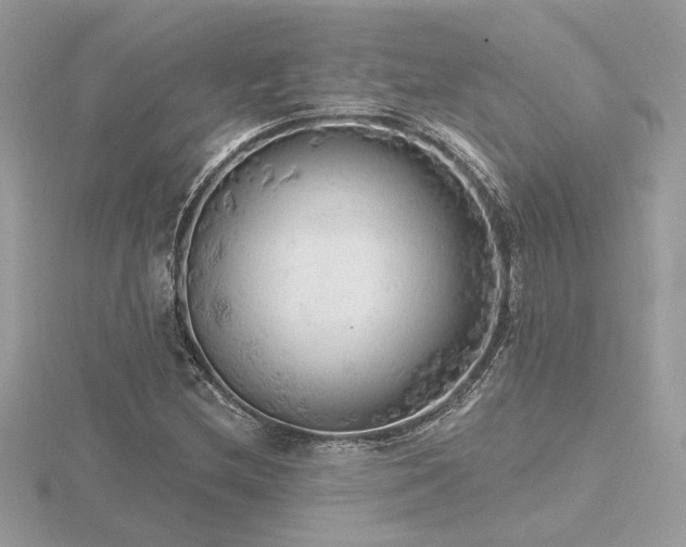 X0000116571212200912101503