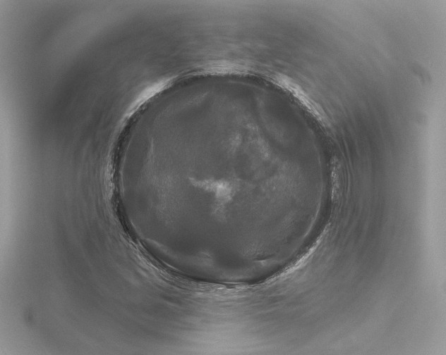 X0000116571213200912101503