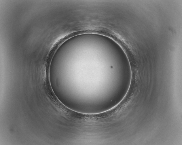 X0000116571214200912101503