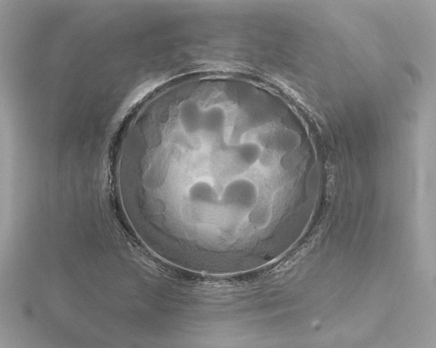 X0000116571215200912101503