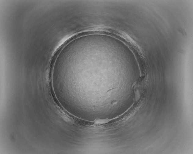 X0000116571216200912101503