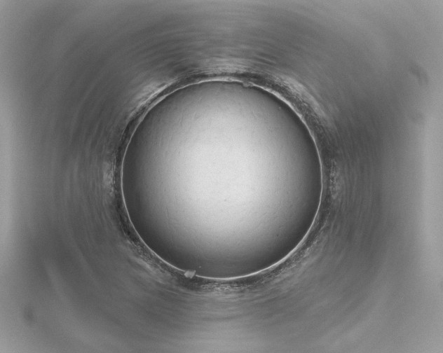 X0000116571217200912101503