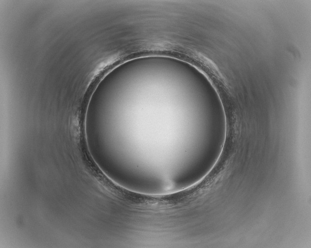 X0000116571218200912101503