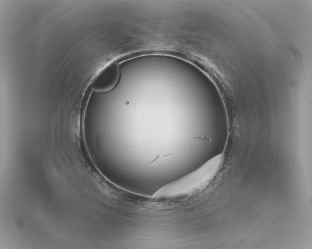 X0000116571220200912101503